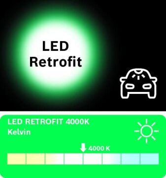 Bosch Led Retrofit P21/5W 1016 Stop Led Ampul 12V 4000K (BAY15d)